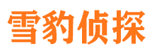 洛宁市侦探调查公司